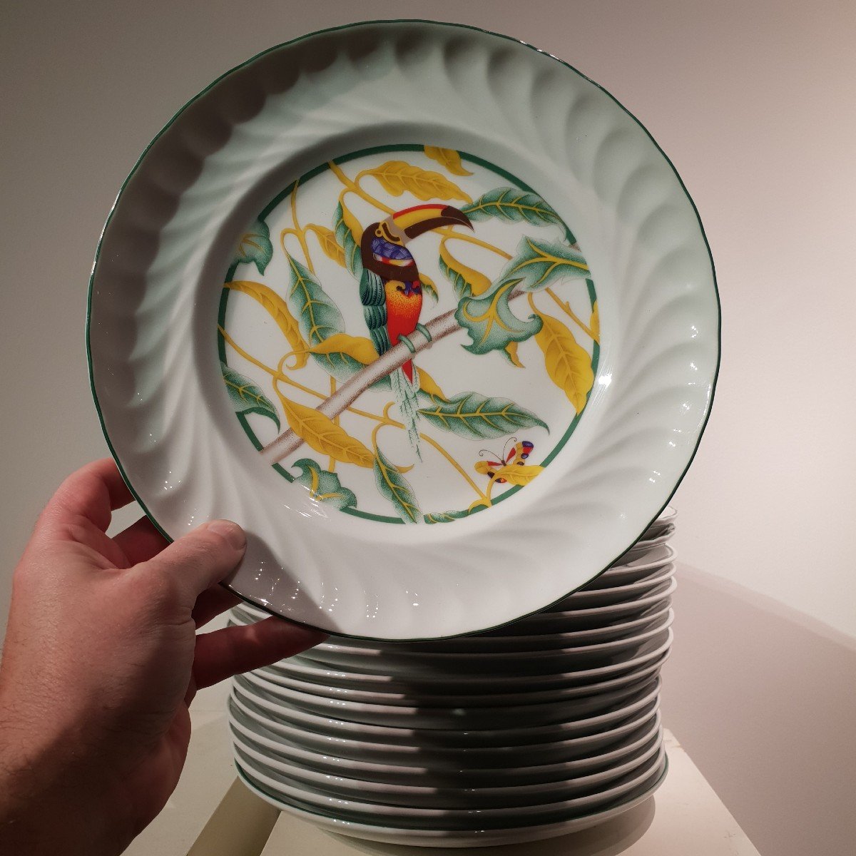 Service En Porcelaine 17 Assiettes Toucan. 20 ème Siècle 