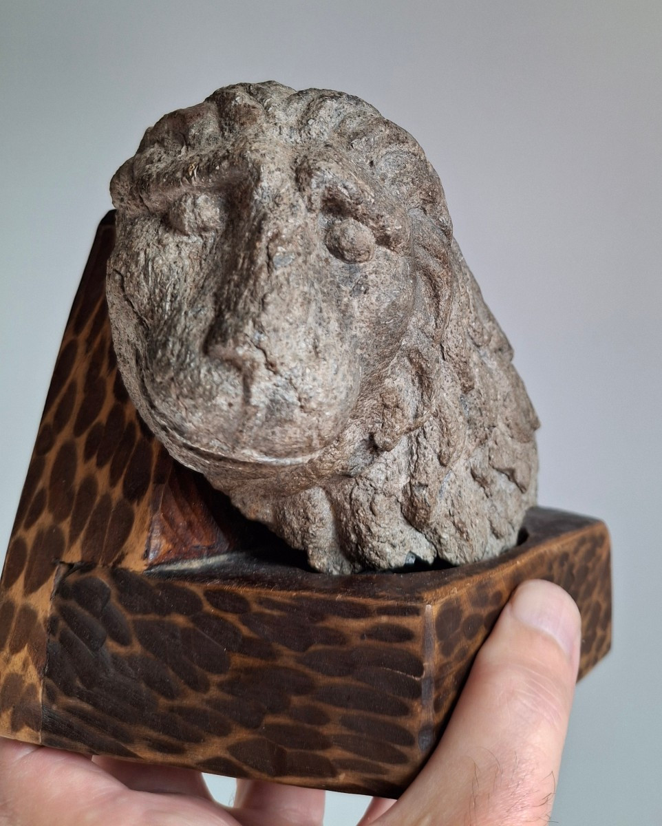 Buste dd Lion en pierre sculptée,  italie, 15 ème siècle -photo-2