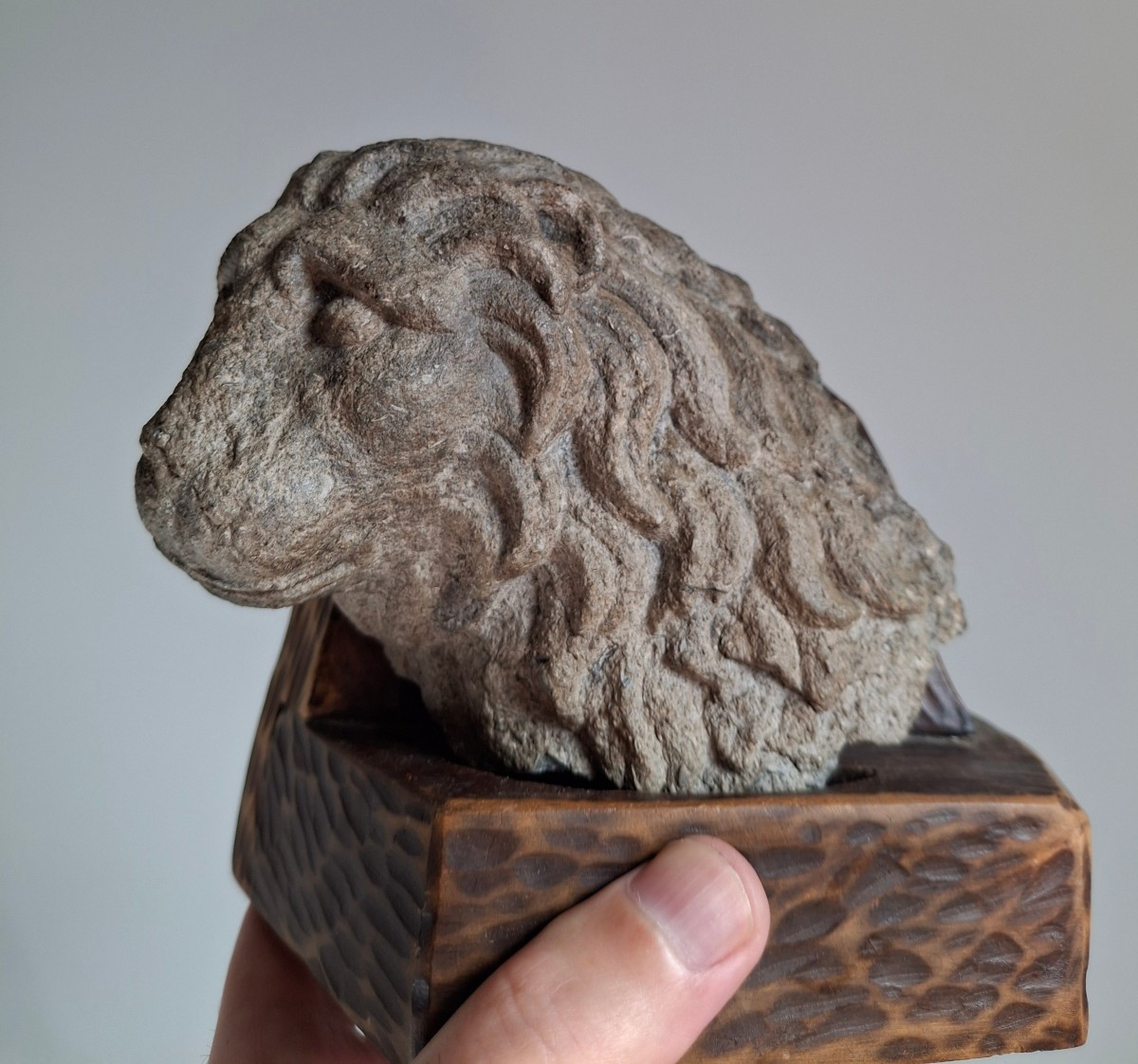 Buste dd Lion en pierre sculptée,  italie, 15 ème siècle -photo-3