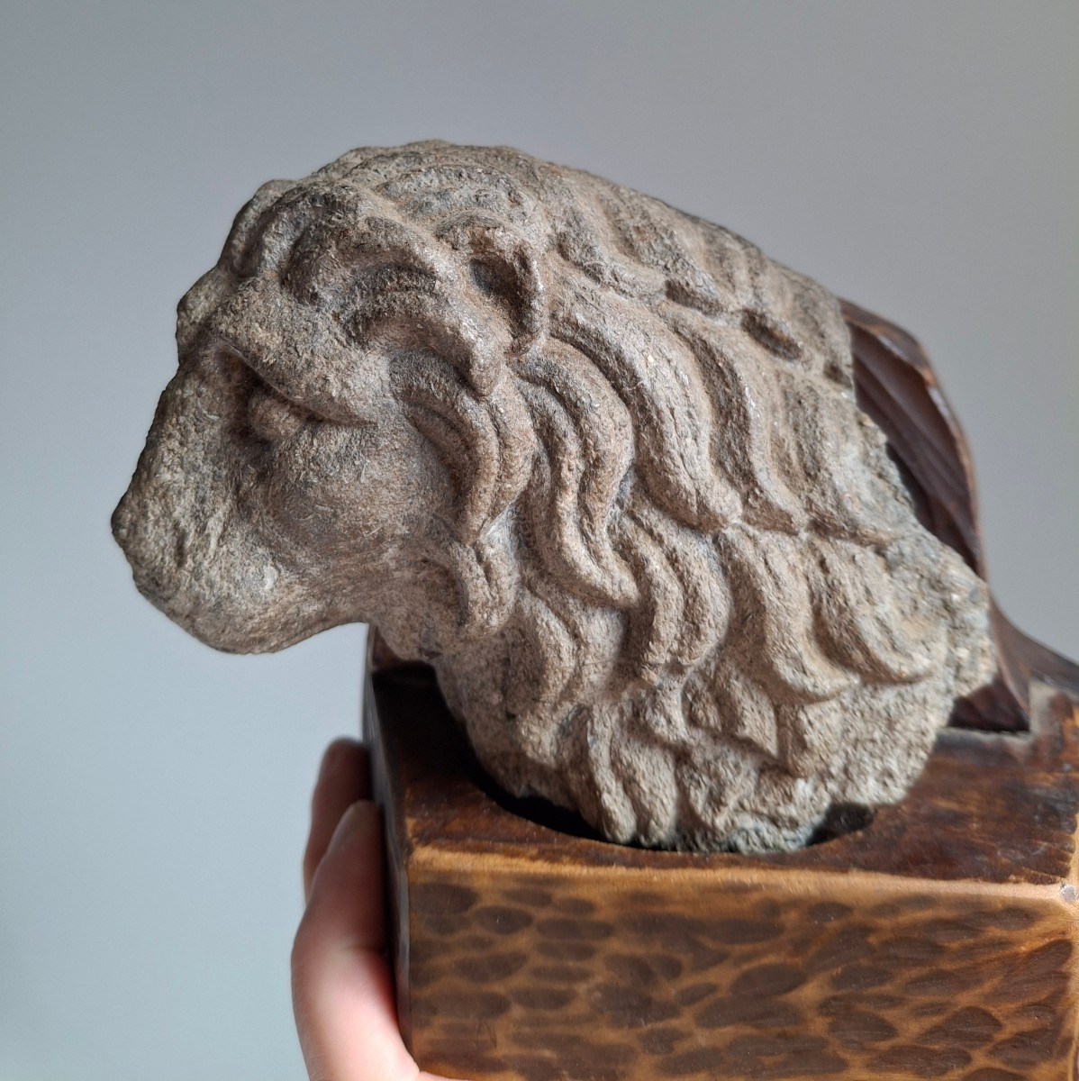 Buste dd Lion en pierre sculptée,  italie, 15 ème siècle -photo-4