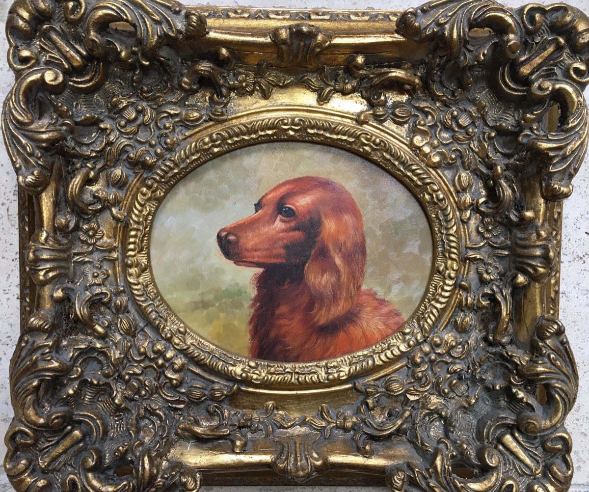 Oil Dog Portrait 