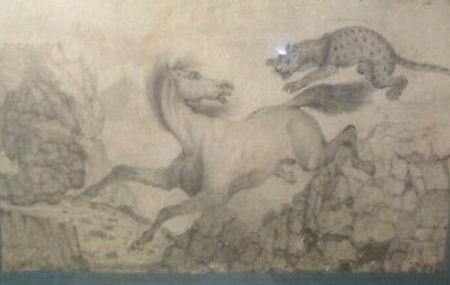 Dessin Ancien Cheval Et Tigre XIXeme -photo-2