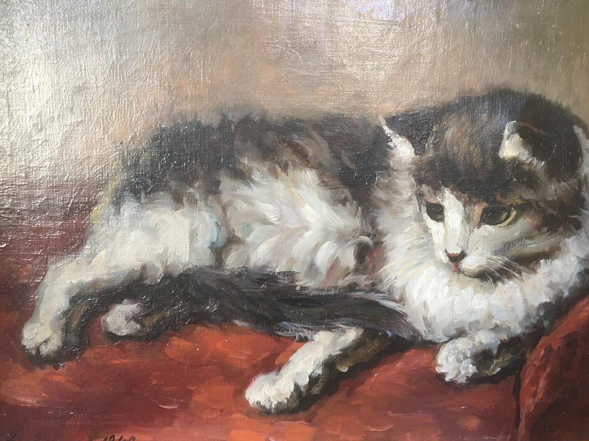 Portrait De Chat Impressionniste Huile Sur Toile 