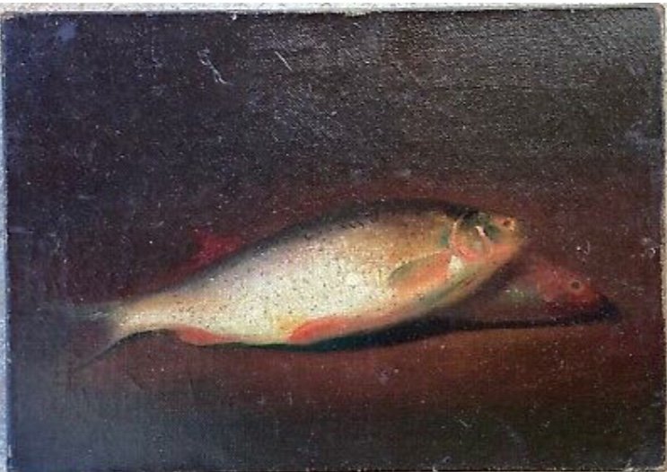 Still Life With Nineteenth Fishes