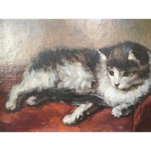 Portrait De Chat Impressionniste Huile Sur Toile 