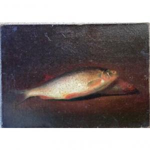 Still Life With Nineteenth Fishes