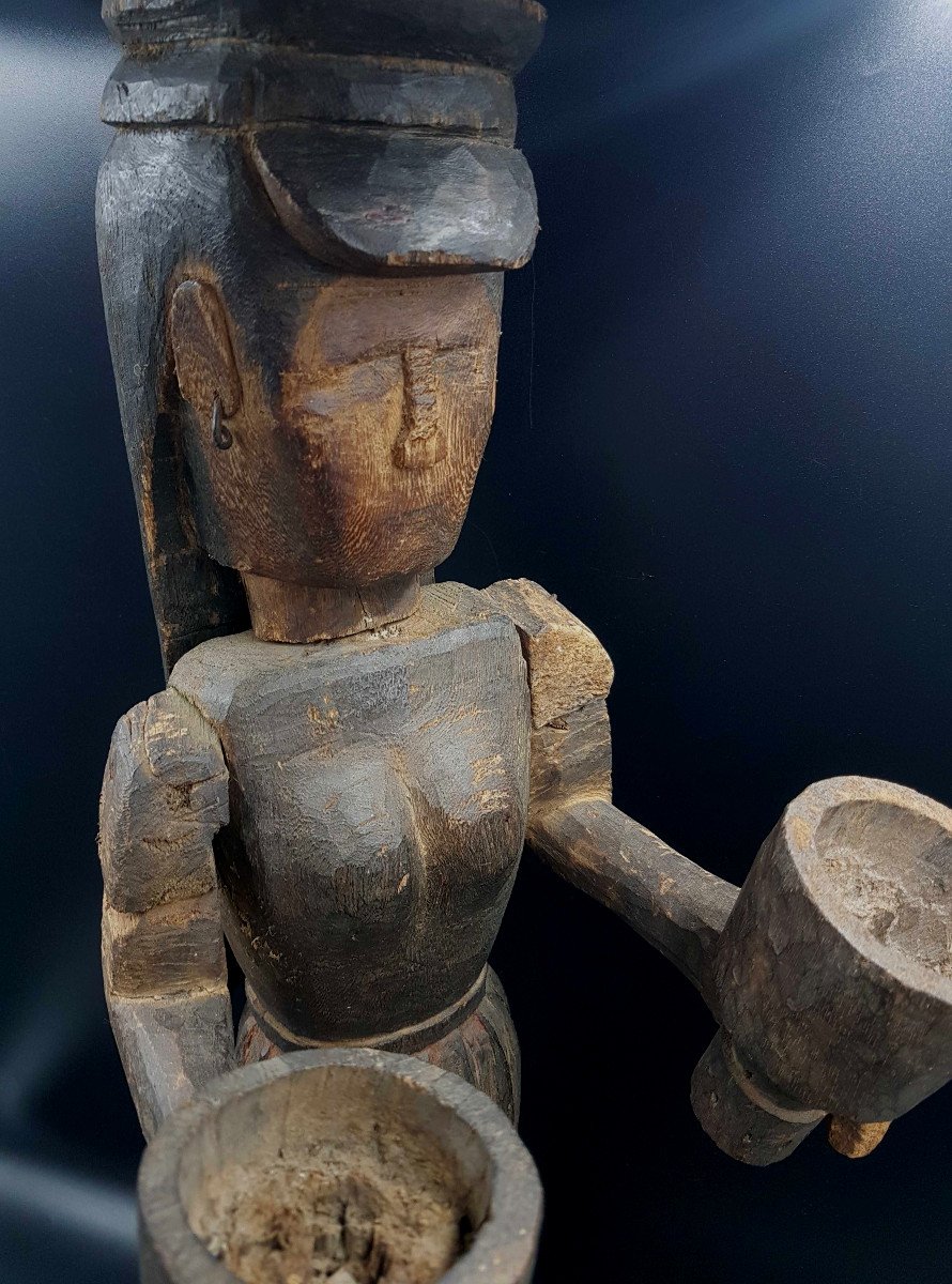 Cupbearer, Sunda Islands, Indonesia-photo-3