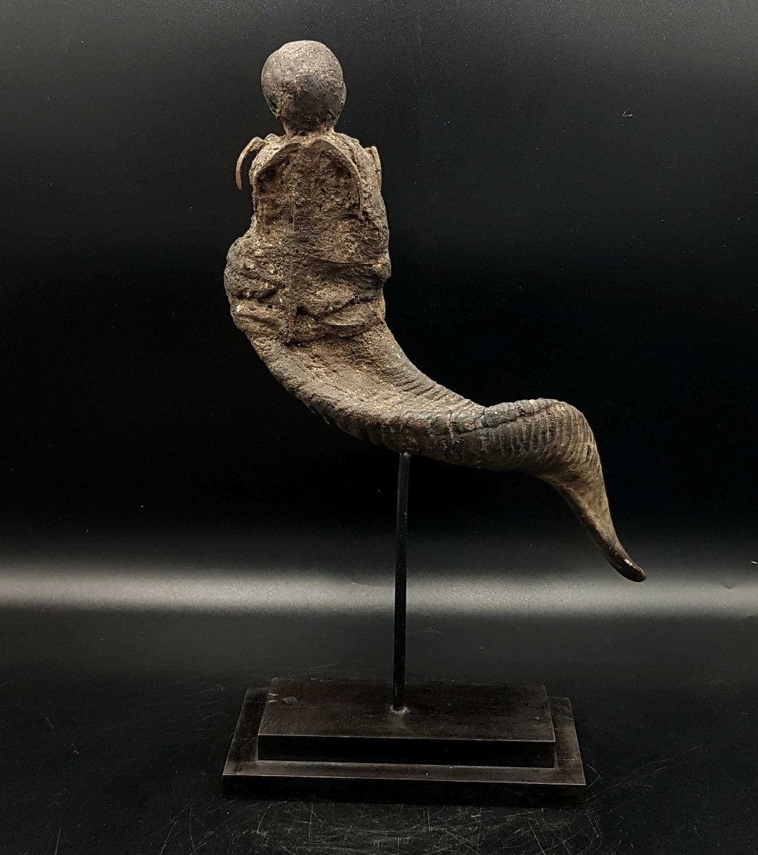 Fetish Horn, Voodoo Cult, Fon People, Benin-photo-4