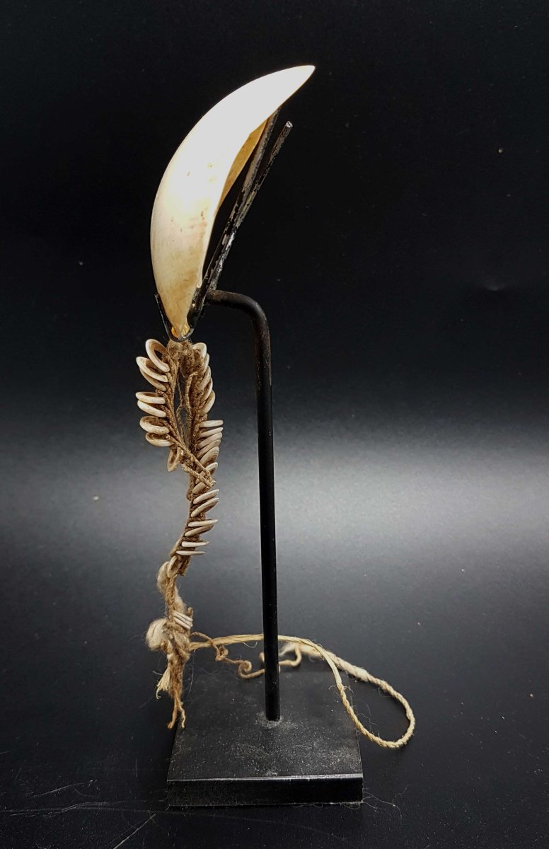 Ornament, Sepik River, Papua New Guinea 02-photo-2