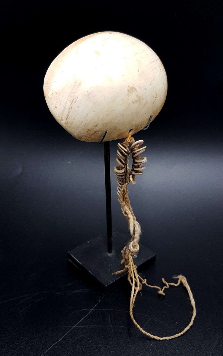 Ornament, Sepik River, Papua New Guinea 02-photo-3