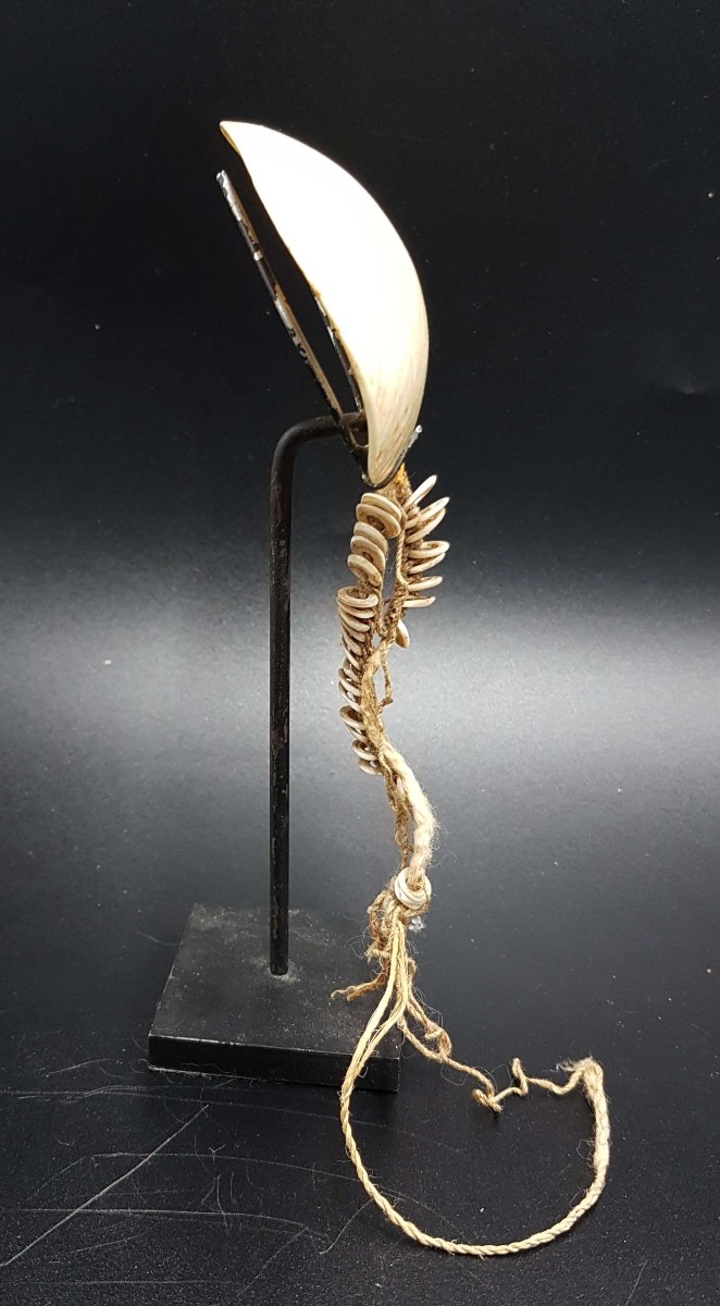 Ornament, Sepik River, Papua New Guinea 02-photo-1