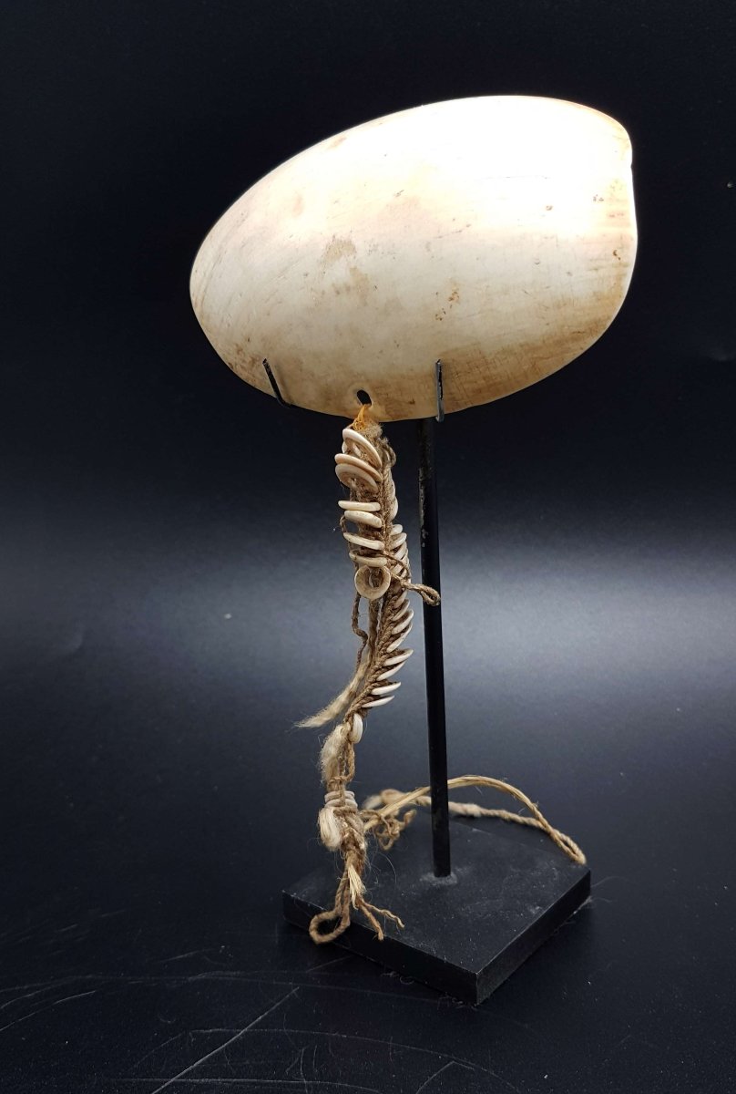 Ornament, Sepik River, Papua New Guinea 02-photo-2