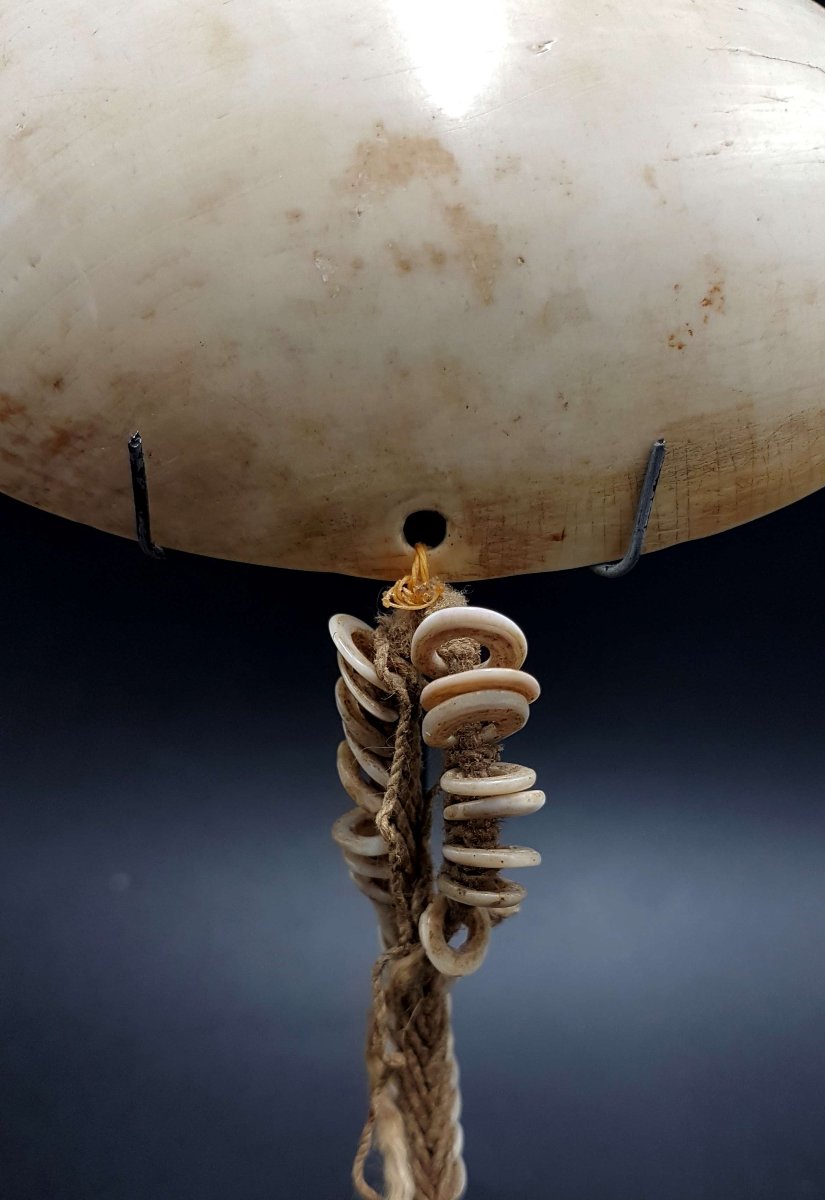 Ornament, Sepik River, Papua New Guinea 02-photo-3