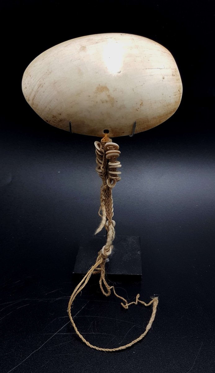 Ornament, Sepik River, Papua New Guinea 02
