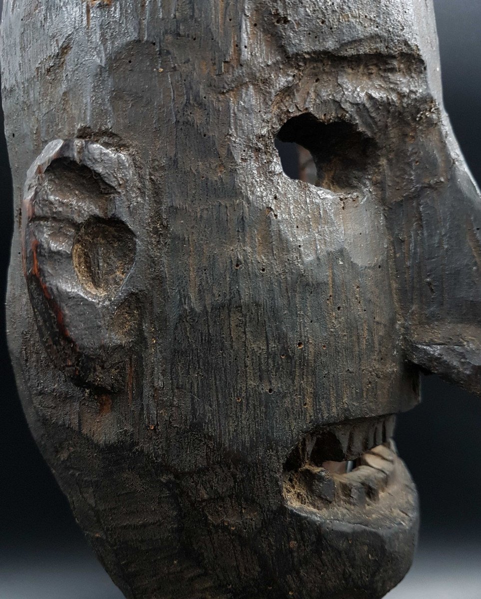 Himalayan Mask, Middle Hills, Nepal-photo-3