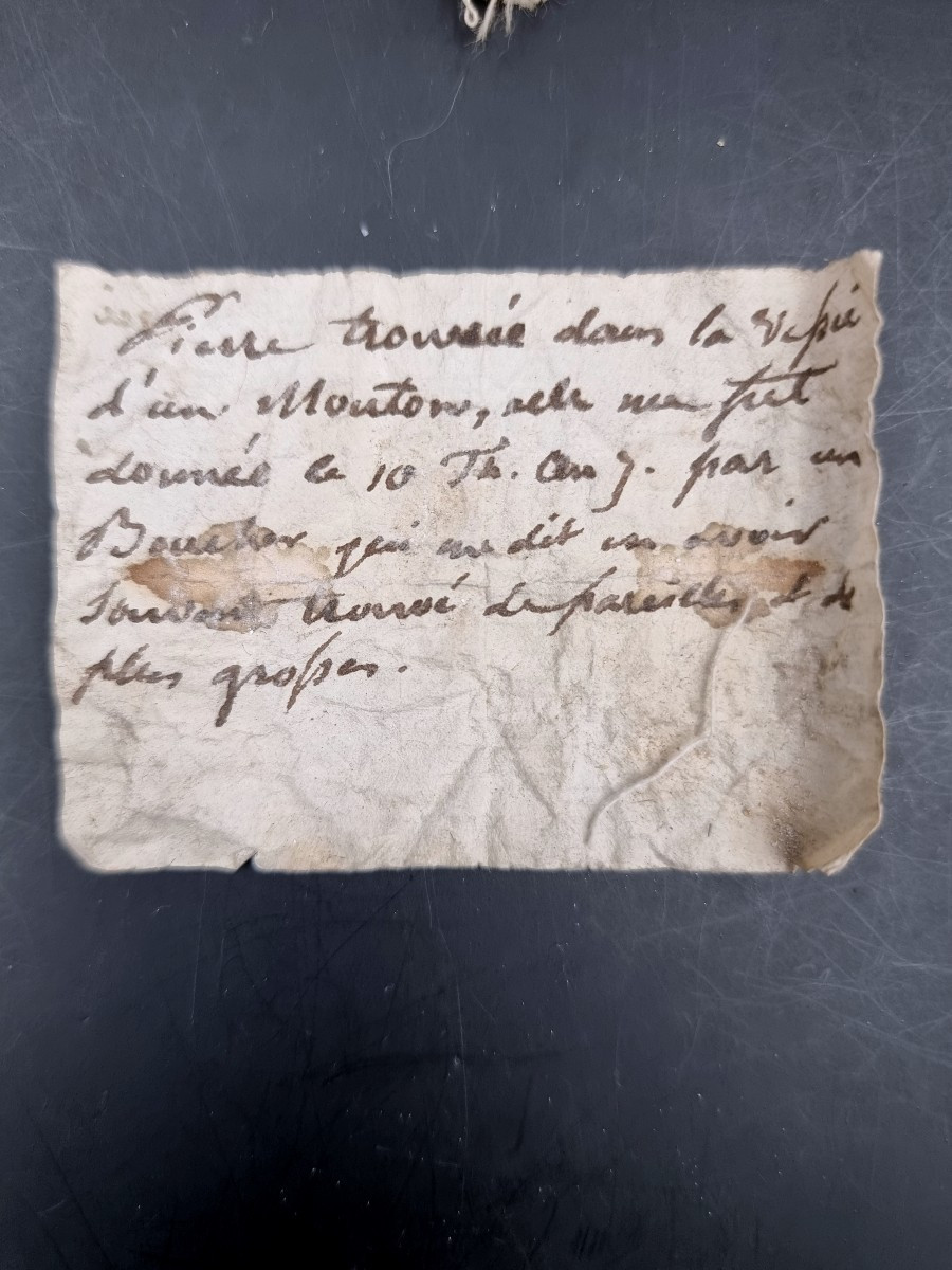 A Box Containing 5 Drawers Filled With Medical Curiosities: Bezoars, Calculi, Etc., 18th Century -photo-4