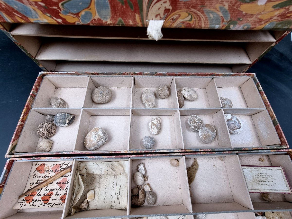 A Box Containing 5 Drawers Filled With Medical Curiosities: Bezoars, Calculi, Etc., 18th Century -photo-5