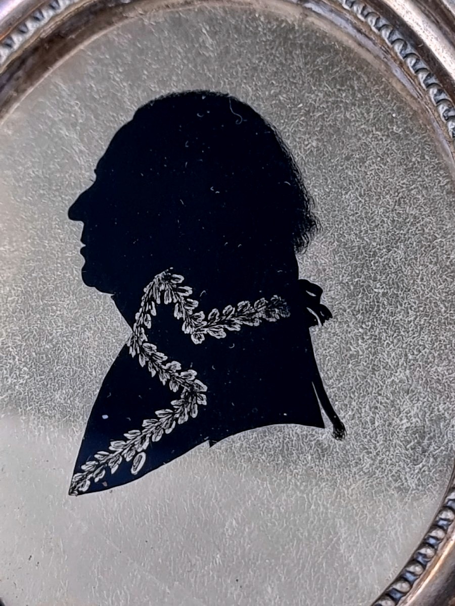 Médaillon profil du général Baron d'empire Jacques Marie Charles de Drouas de Boussey -photo-3