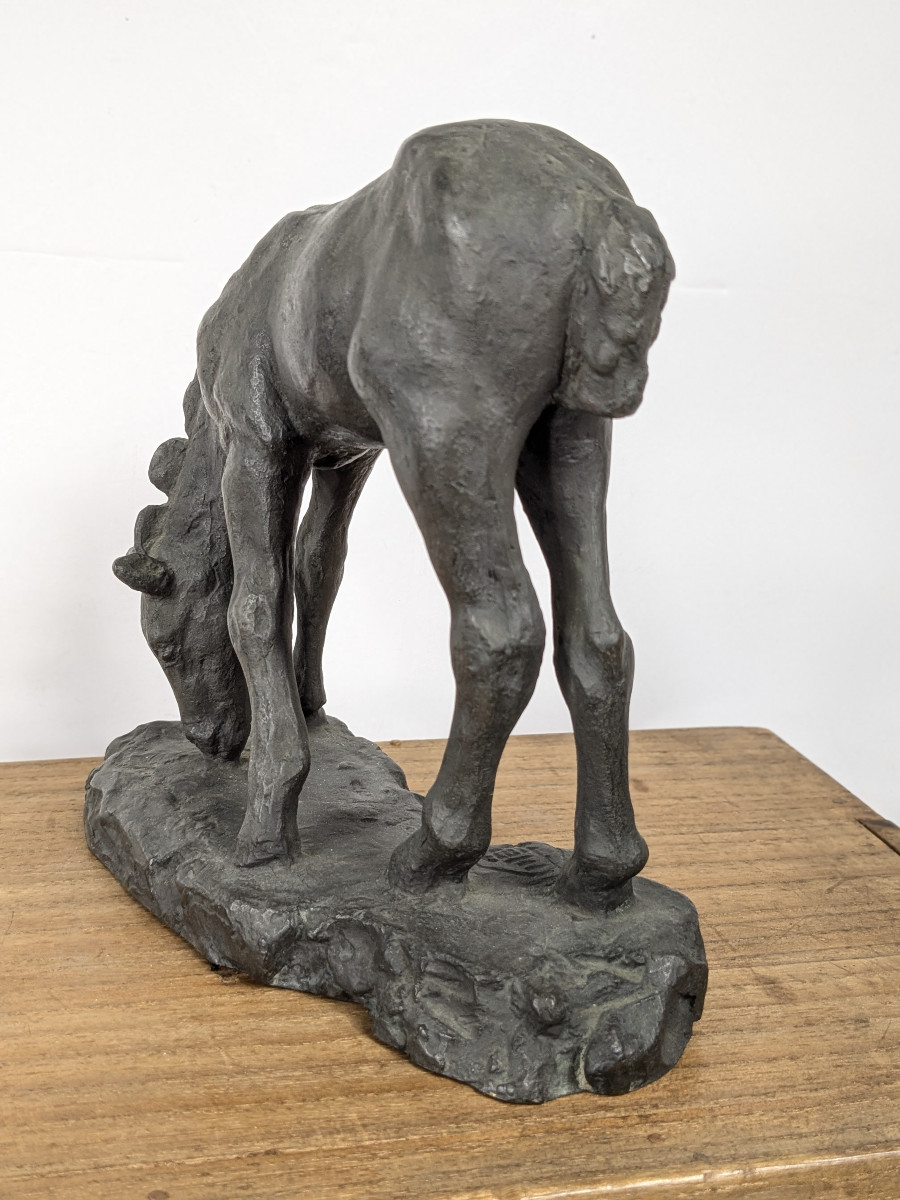 Bronze Foal By Junji Wakebe 191-1995 #728-photo-4