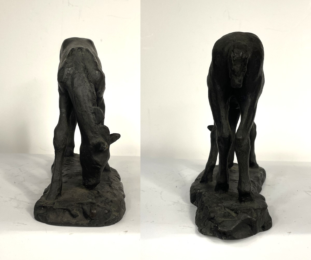 Bronze Foal By Junji Wakebe 191-1995 #728-photo-1