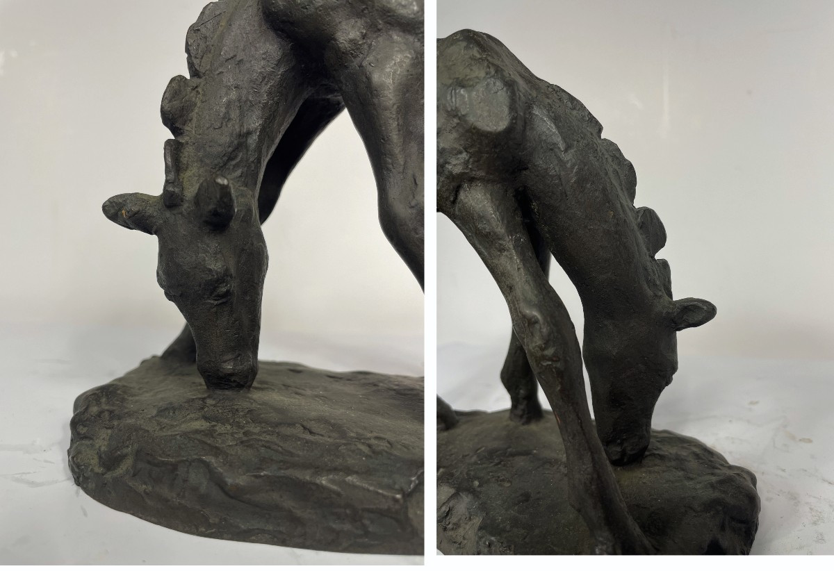 Bronze Foal By Junji Wakebe 191-1995 #728-photo-3
