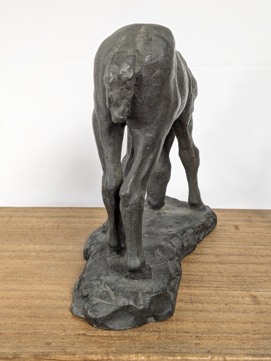 Bronze Foal By Junji Wakebe 191-1995 #728-photo-1