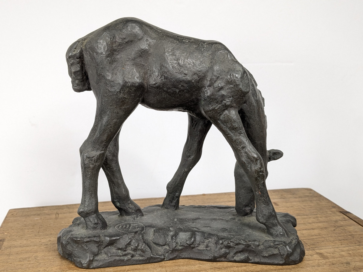 Bronze Foal By Junji Wakebe 191-1995 #728-photo-3