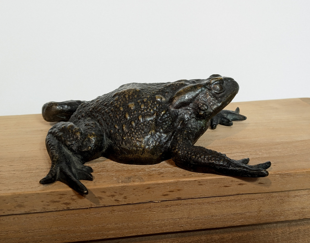 Pustular Toad - Bronze, Japan, Meiji Period, 19th Century --photo-4