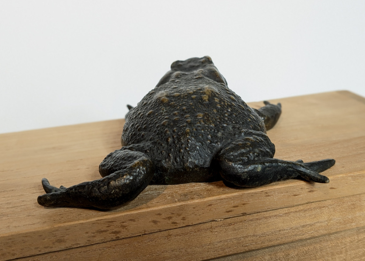 Pustular Toad - Bronze, Japan, Meiji Period, 19th Century --photo-1