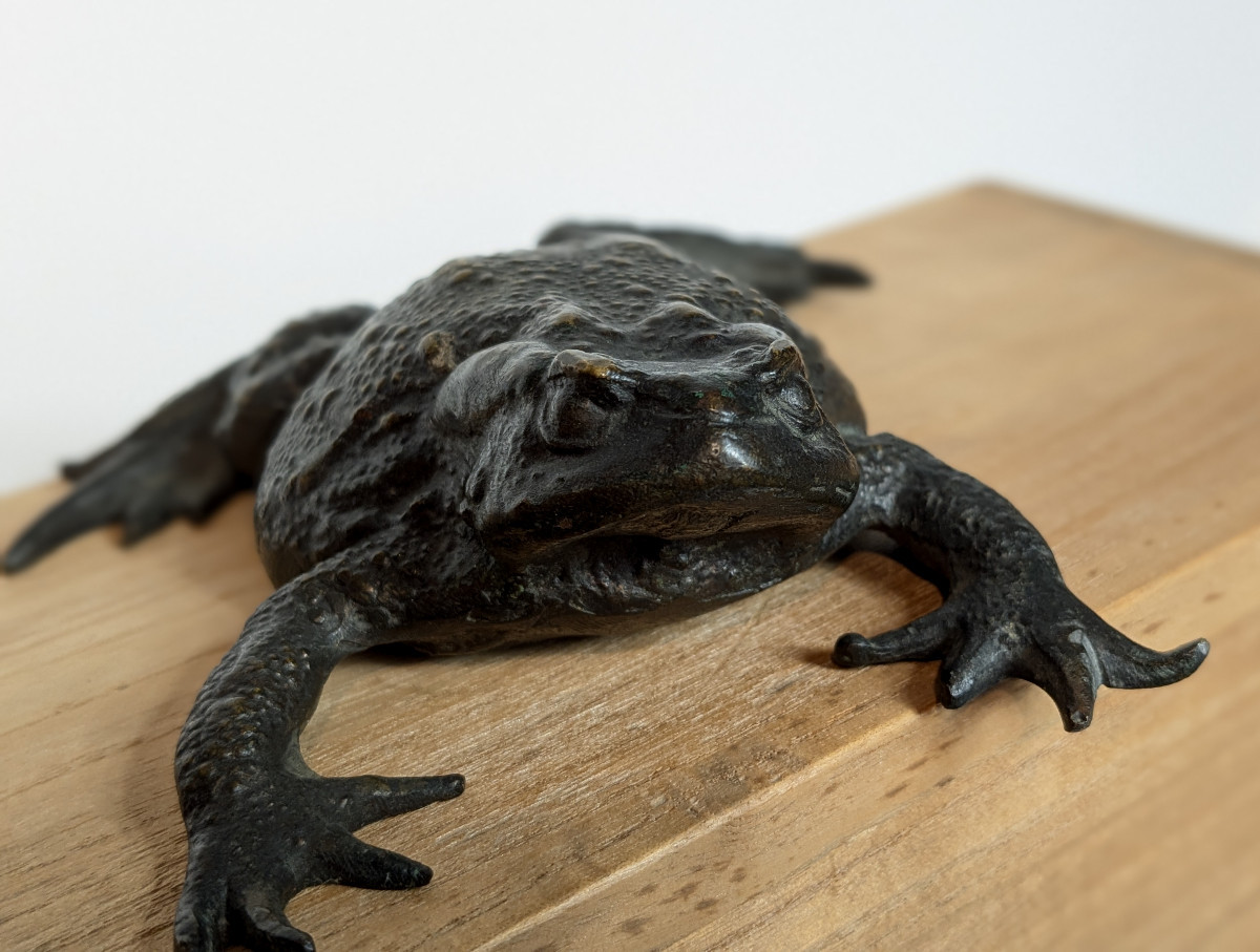 Pustular Toad - Bronze, Japan, Meiji Period, 19th Century --photo-5