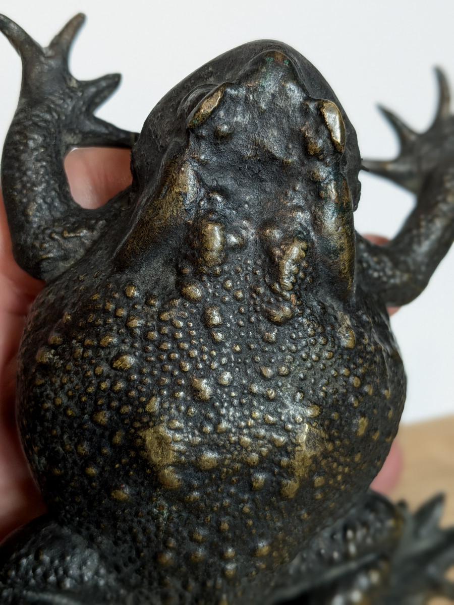 Pustular Toad - Bronze, Japan, Meiji Period, 19th Century --photo-6