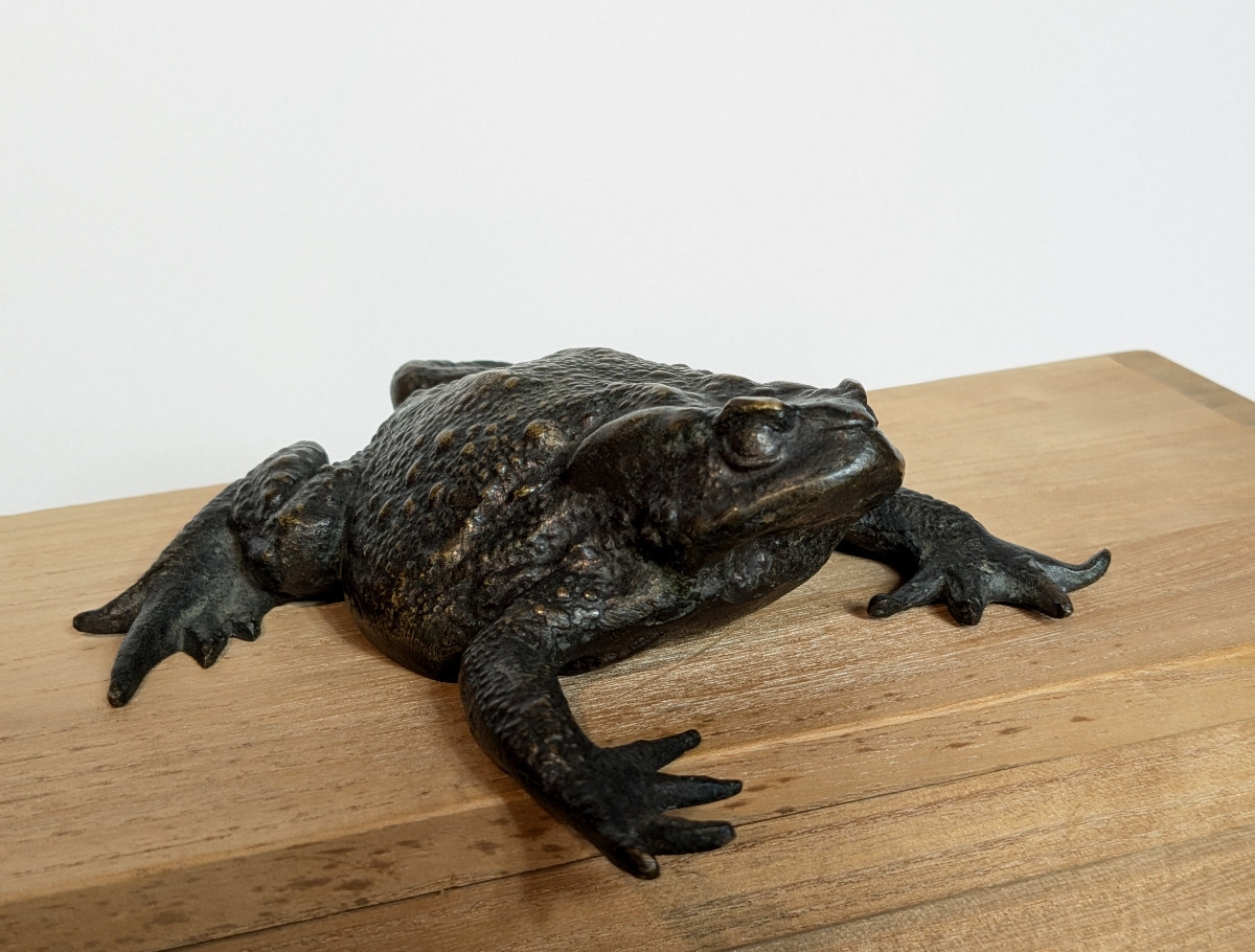 Pustular Toad - Bronze, Japan, Meiji Period, 19th Century -