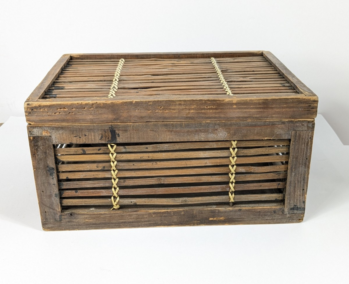 Chick Cage, Japan, Early 20th Century-photo-2