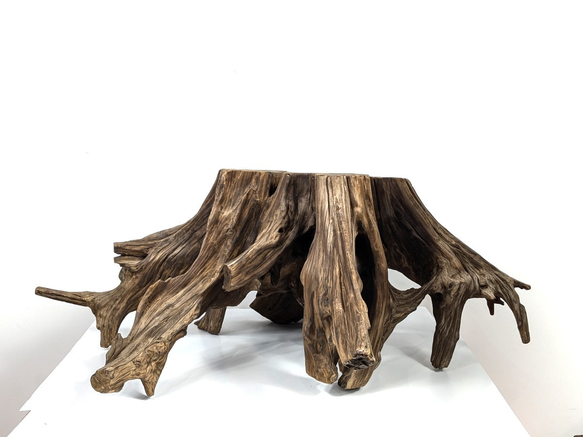 Wabi-sabi Root - Kare San Sui Garden - 20th Century Showa-photo-2