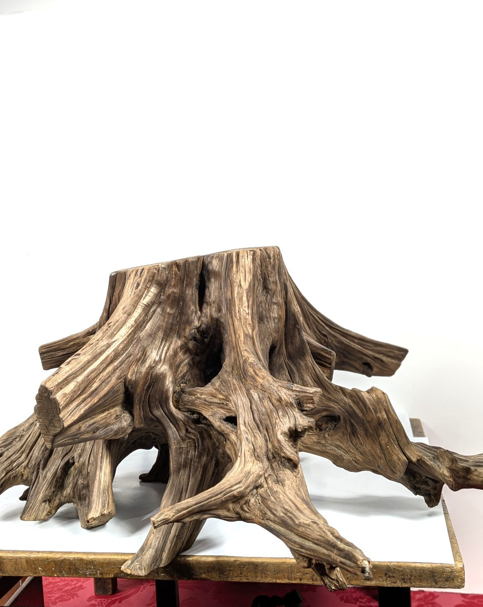 Wabi-sabi Root - Kare San Sui Garden - 20th Century Showa-photo-4