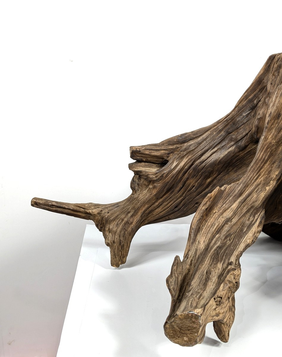 Wabi-sabi Root - Kare San Sui Garden - 20th Century Showa-photo-4