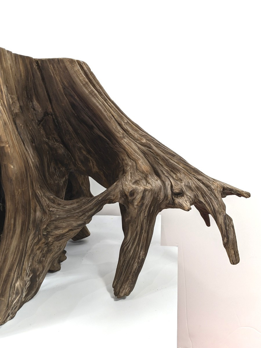 Wabi-sabi Root - Kare San Sui Garden - 20th Century Showa-photo-5