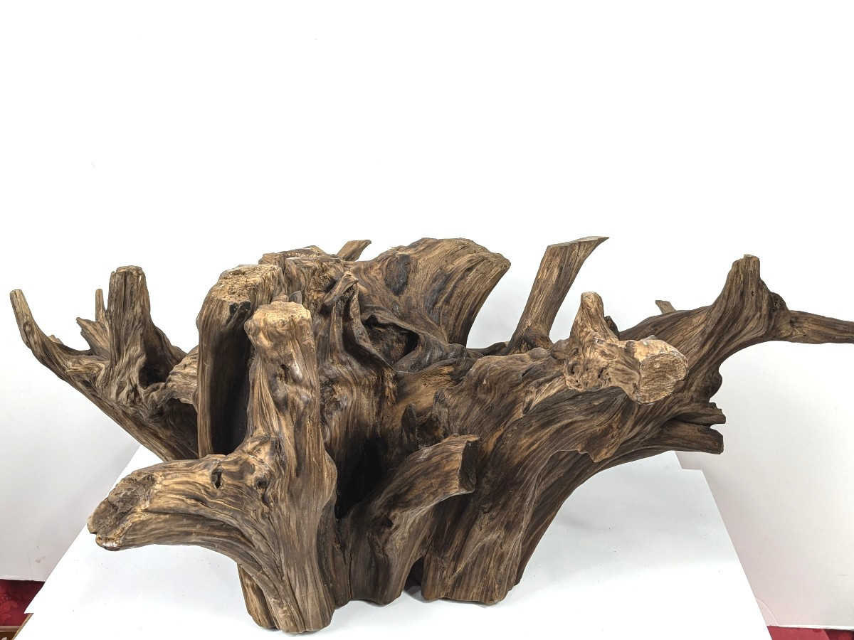 Wabi-sabi Root - Kare San Sui Garden - 20th Century Showa-photo-6