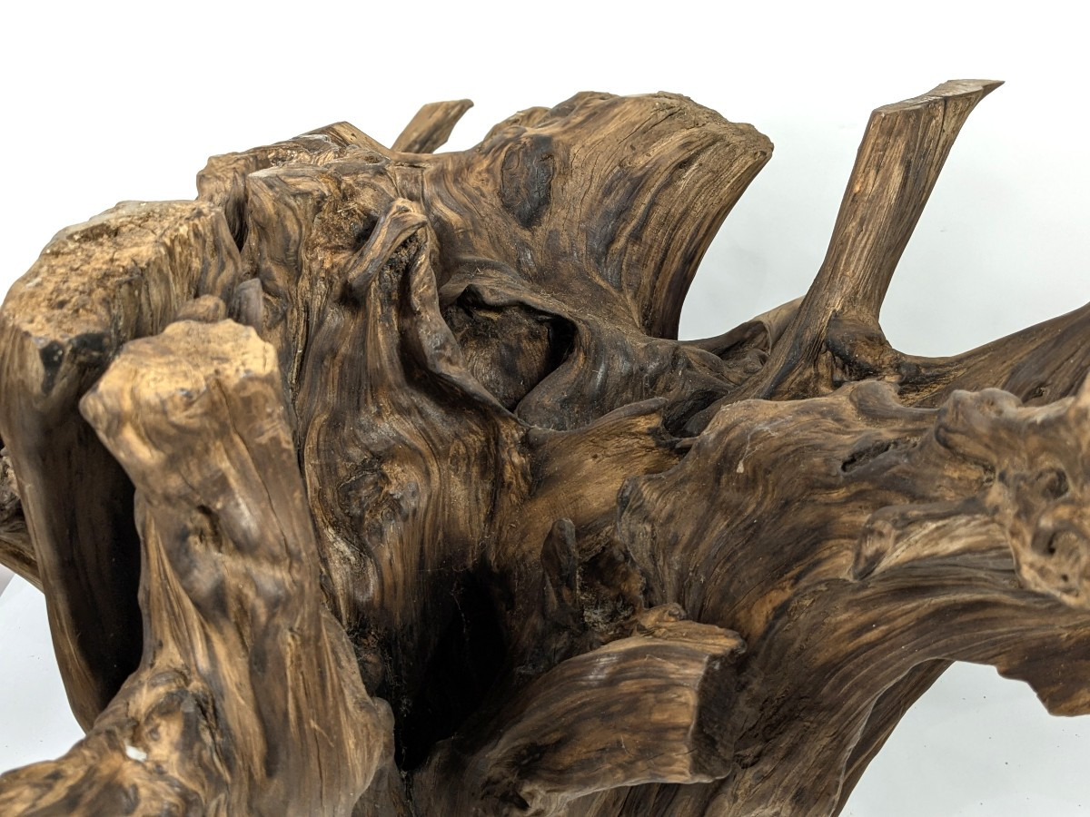 Wabi-sabi Root - Kare San Sui Garden - 20th Century Showa-photo-7