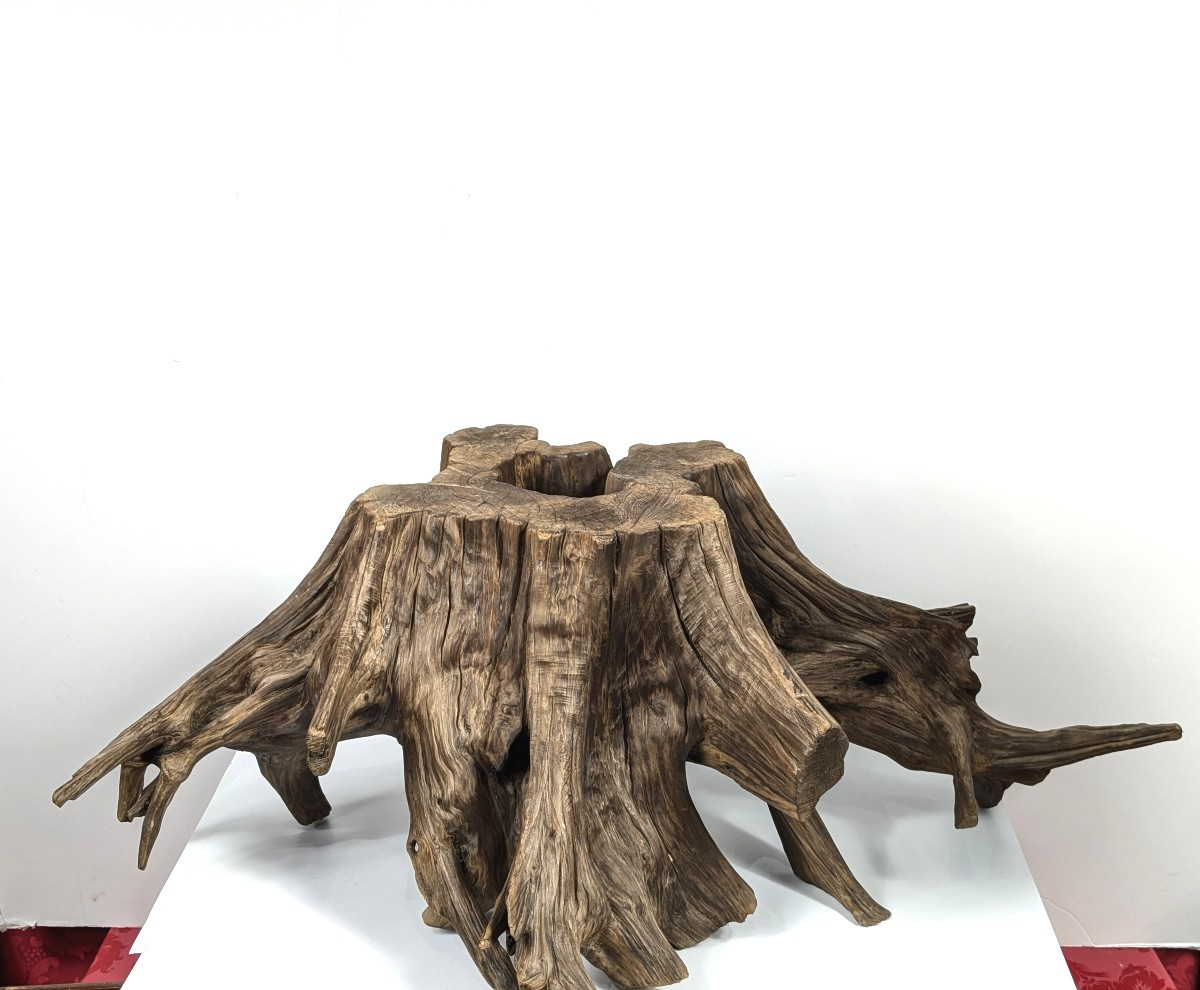 Wabi-sabi Root - Kare San Sui Garden - 20th Century Showa