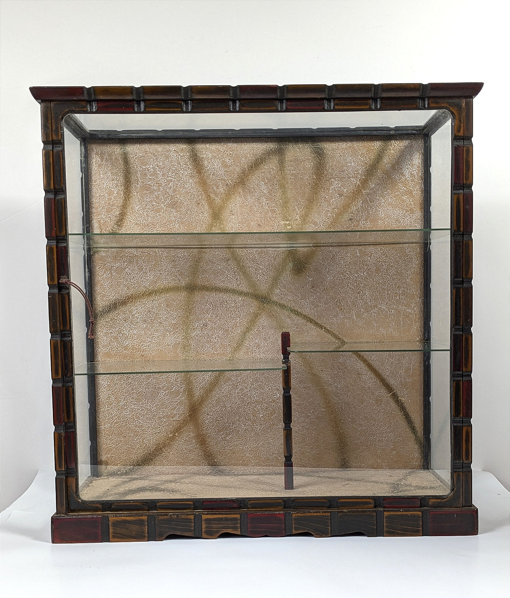 Vintage Collector's Display Case - 1950-70 --photo-2