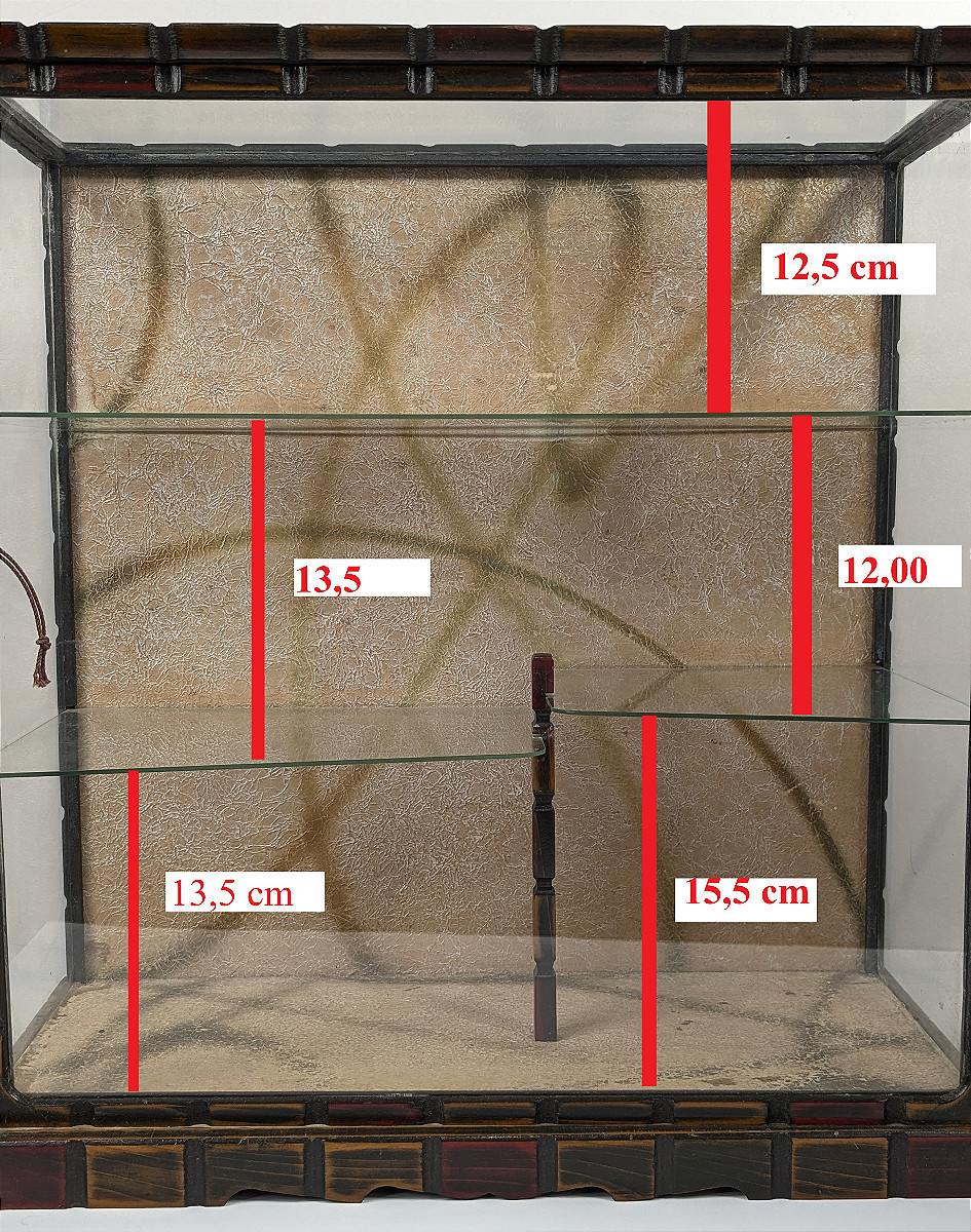 Vintage Collector's Display Case - 1950-70 --photo-3