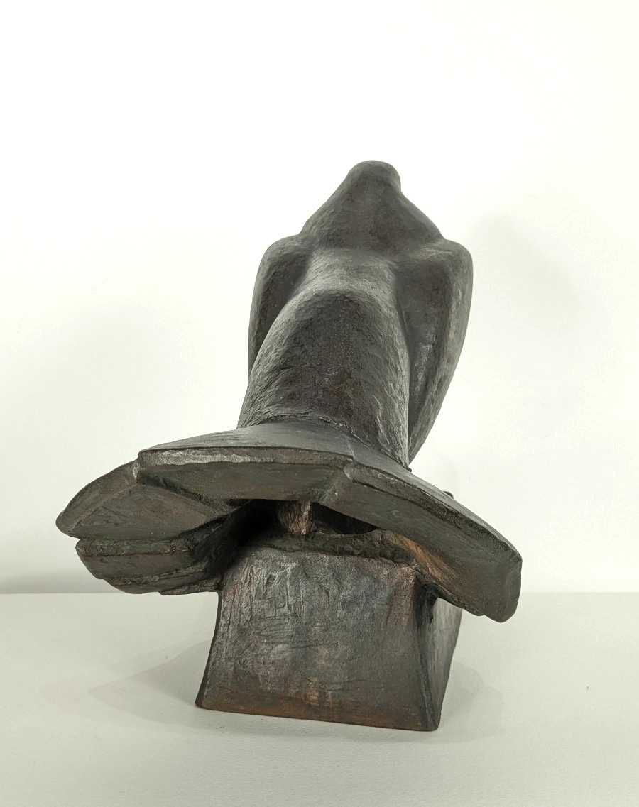 La colombe - bronze  30cm circa 1945-50 par Kichinosuke Hiroi (1906-1986) #133-photo-7