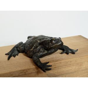 Pustular Toad - Bronze, Japan, Meiji Period, 19th Century -