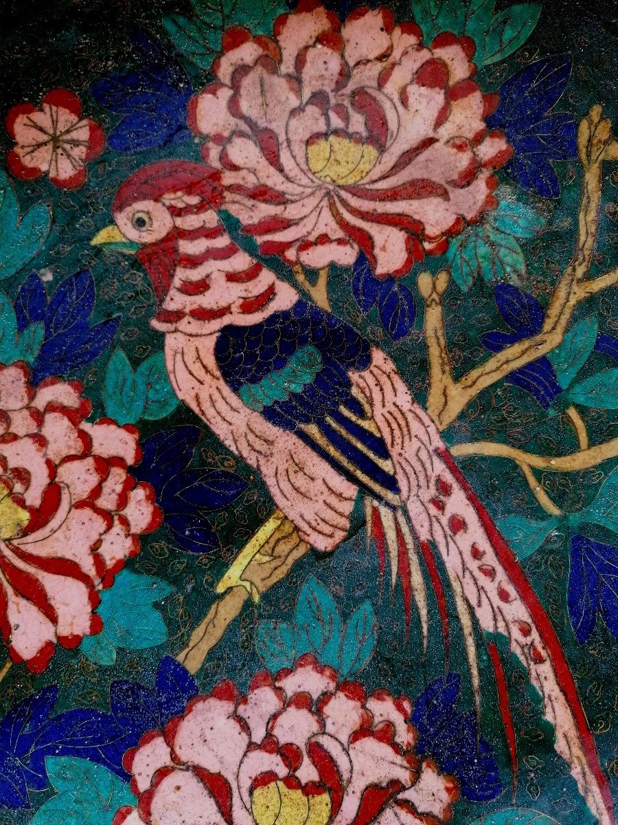 Plat Cloisonné - Chine - XVIII-XIX  Eme Siècle - Oiseau Perché Parmis Les Fleurs -