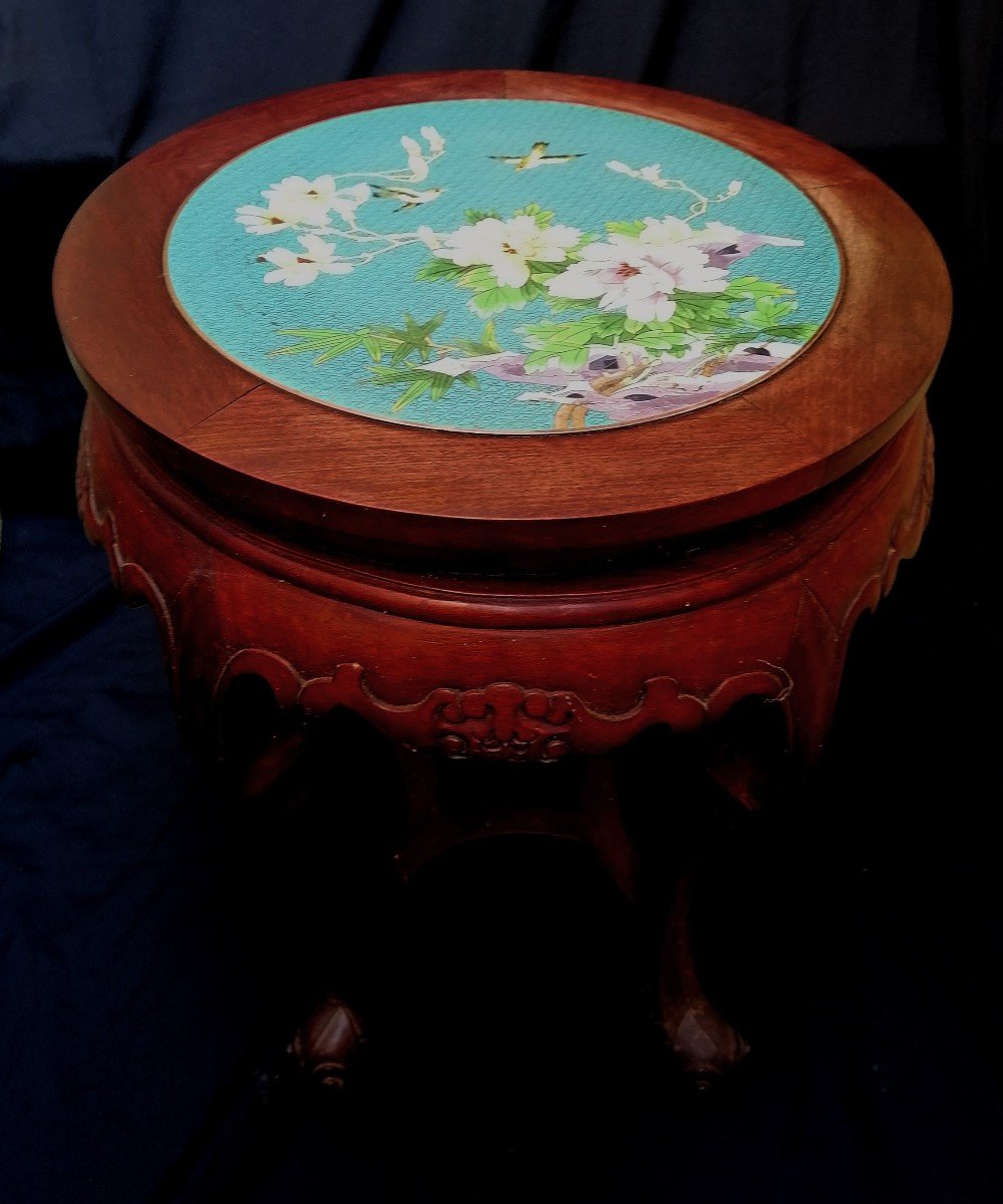 China - Bolster - Stool - Exotic Wood Cloisonne Top - From A Pair - Early 20th Century -