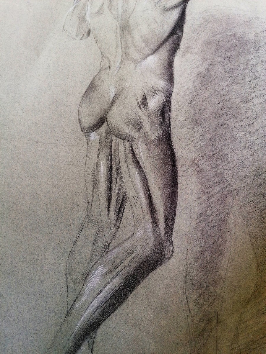 Academic And Anatomical Drawing - Made After "la Bosse" - Male Nude - Dated 1893 --photo-2