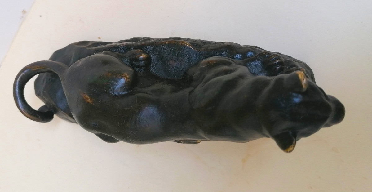Antoine Louis Barye - Bronze - Lying Panther - Tunis Panther Model No. 2 - Old Print-photo-3