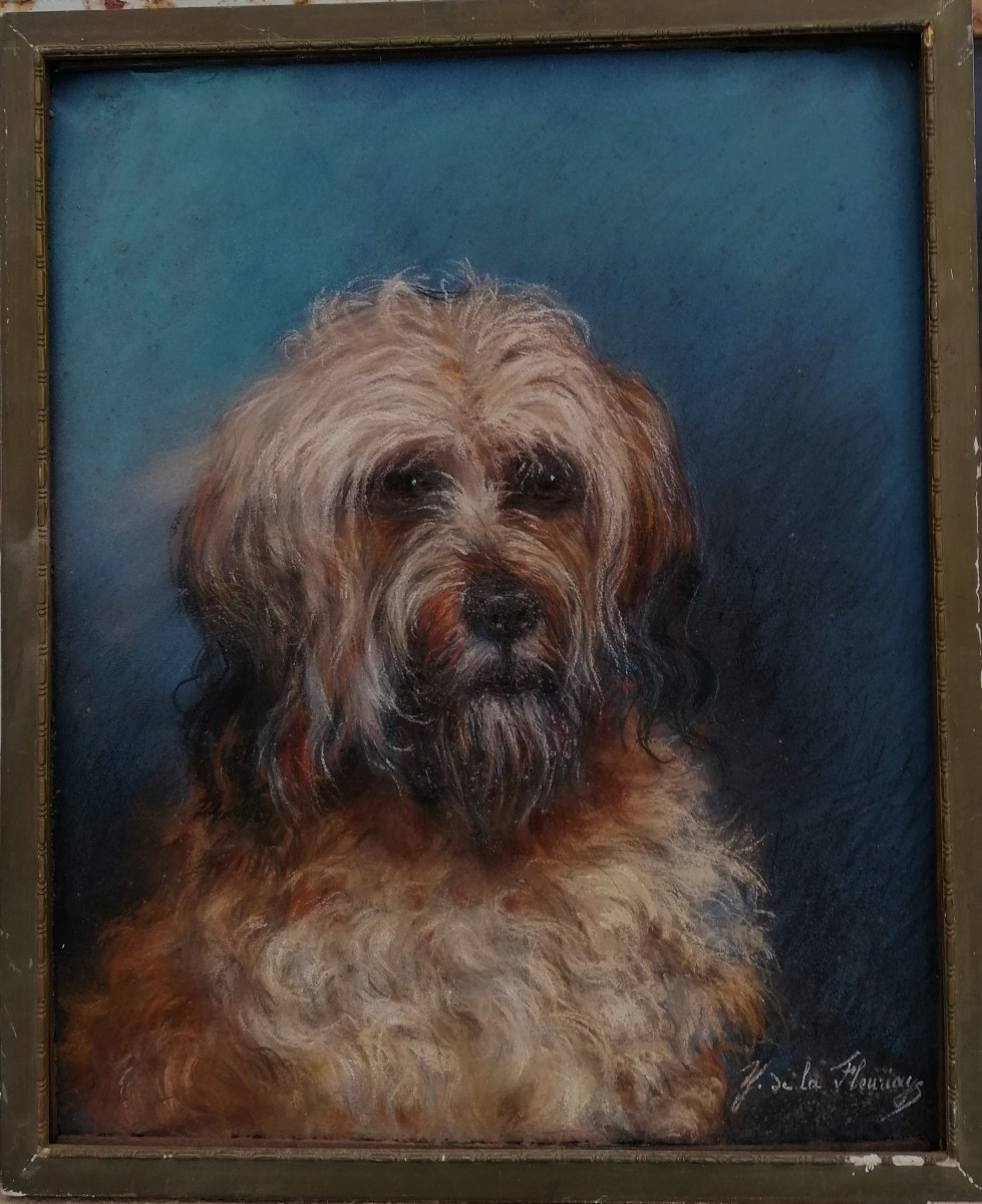 Pastel - Portrait Of A Dog - Y. De La Fleuriays - 20th Century - French School Exhibition -