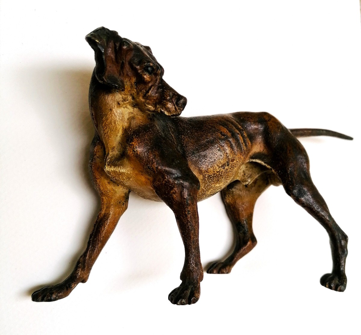 BRONZE DE VIENNE - CHIEN DE CHASSE - ATELIER FRANZ BERGMANN ? - CIRCA 1900 - SCULPTURE --photo-2